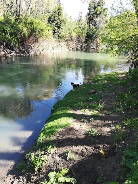 Aniene-dalen naturreservat